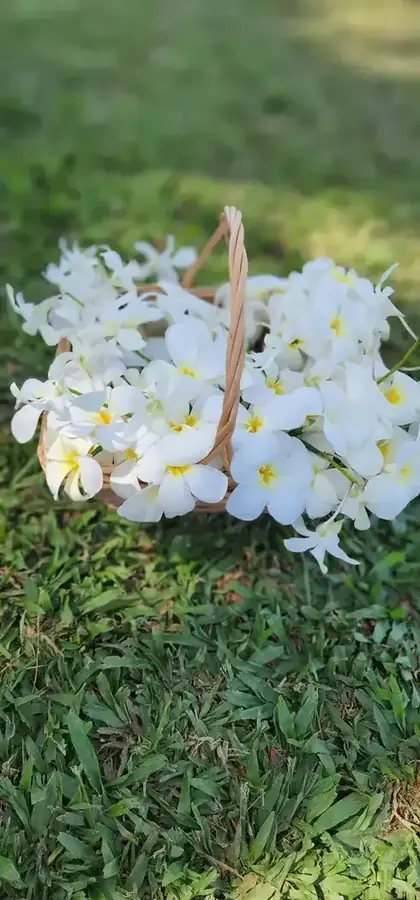 Wedding flowers and decorative details in Fiji — 024
