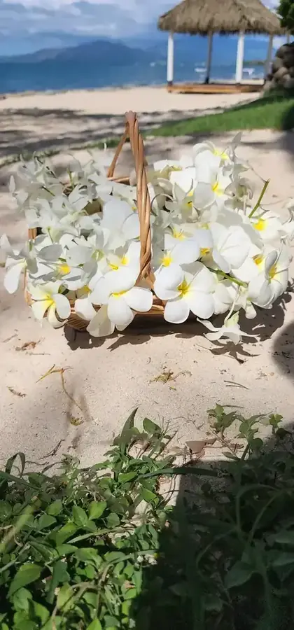 Fiji destination wedding ceremony setting — 018