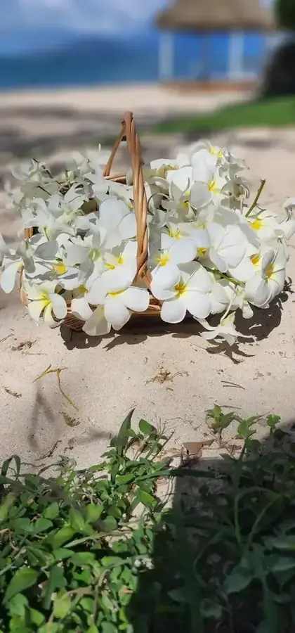Wedding vows in a beautiful Fiji setting — 019