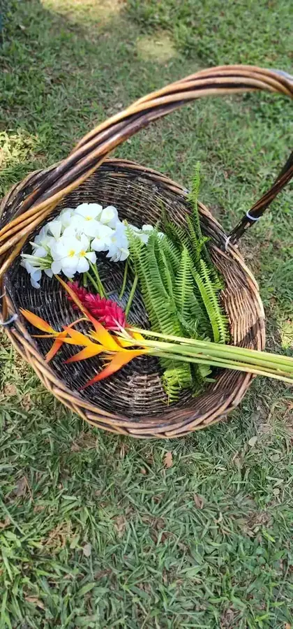 Tropical wedding aisle styled by Paradise Bride — 022