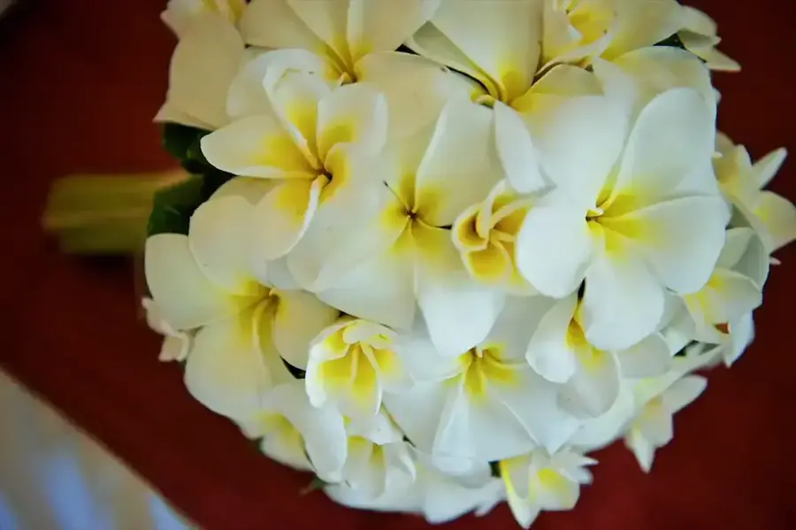 Wedding flowers and decorative details in Fiji — 114